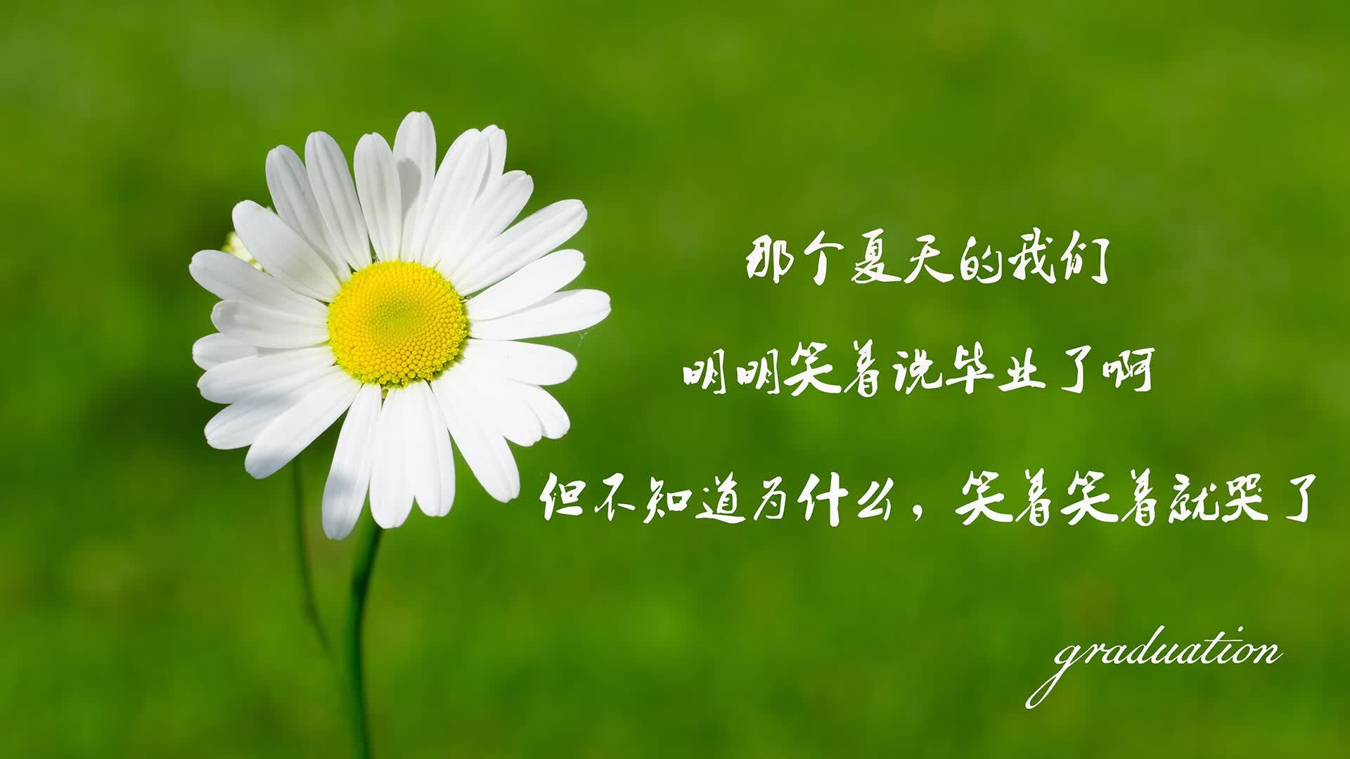 牡丹江好吃的地方排行榜最新(牡丹江必吃美食地图)